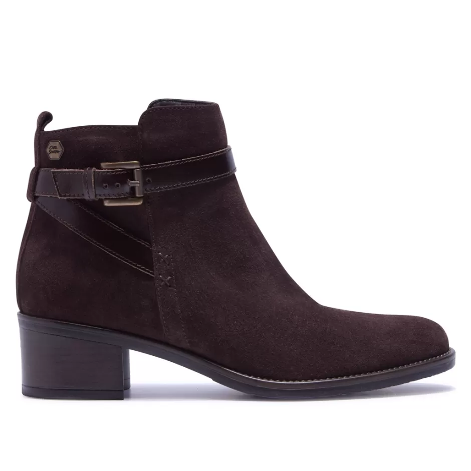 Ankle Boots | Carl Scarpa Almafi Brown Suede Ankle Boots