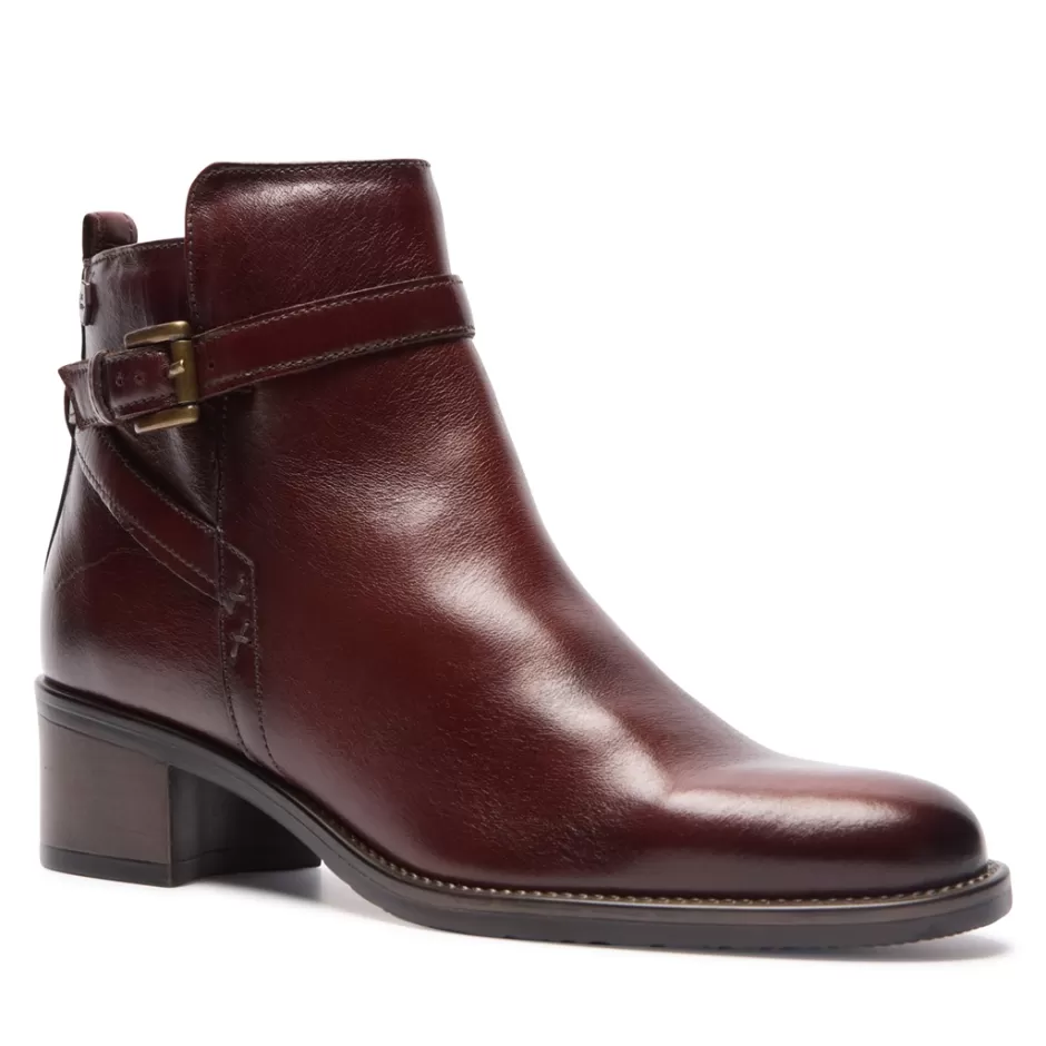 Ankle Boots | Carl Scarpa Almafi Tan Leather Ankle Boots