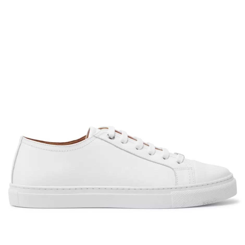 Leather Trainers | Trainers | Carl Scarpa Corianne White Leather Trainers