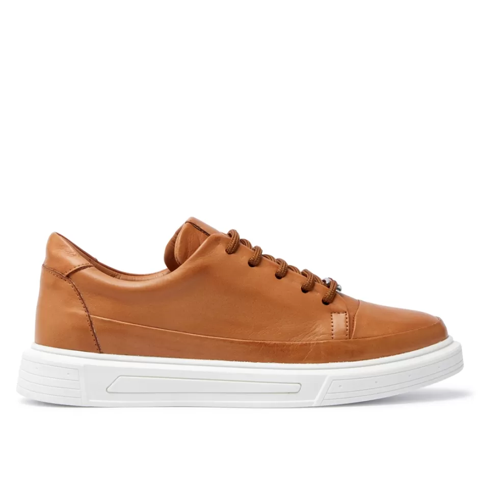 Leather Trainers | Trainers | Carl Scarpa Lenotti Tan Leather Leisure