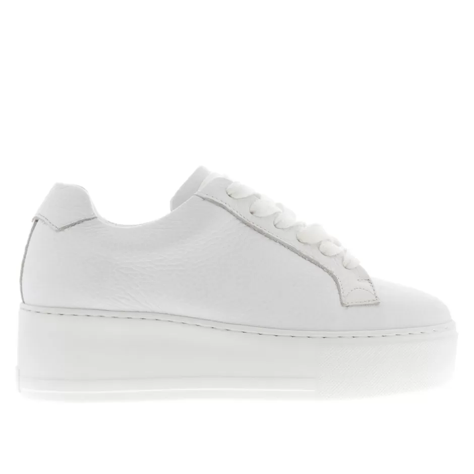 Leather Trainers | Trainers | Carl Scarpa Padova White Leather Platform Trainers