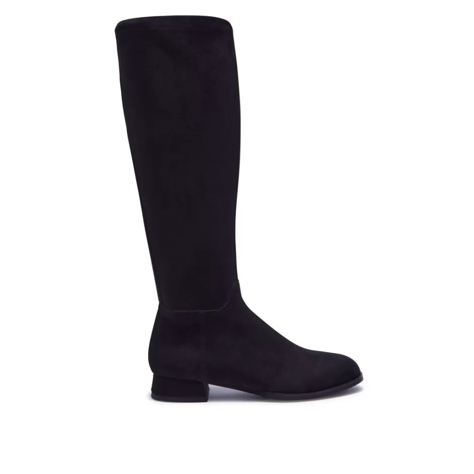 Knee High Boots | Carl Scarpa Solene Black Stretch Long Leg Boot