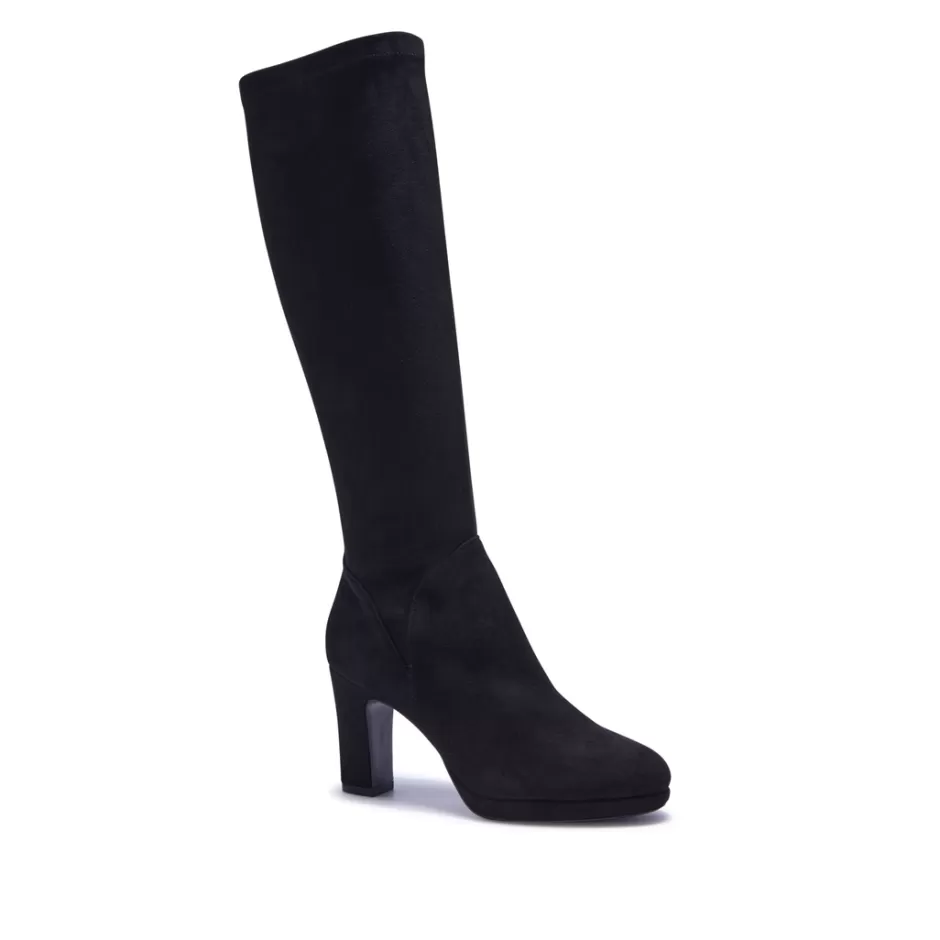 Knee High Boots | Carl Scarpa Soleste Black Stretch Long Leg Boot