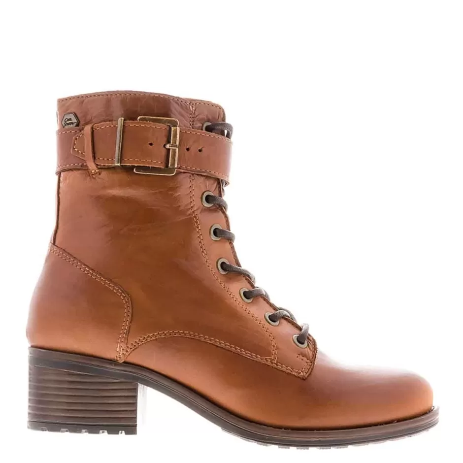 Ankle Boots | Carl Scarpa Turner Tan Leather Lace Up Ankle Boots